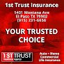 1st Trust Insurance