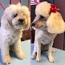 Ama’s Pet Salon Walk Ins Welcome Just Call Before