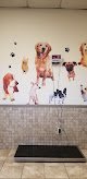 Americas Animal Clinic