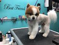 Best Friends Pet Salon