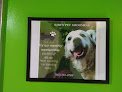 Bibi's Pet Grooming Salon