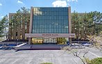 Borderland Health Services