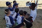 Community Evolve