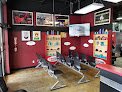 Cool Joe Cuts - Mesa