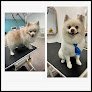 Negocio Cuties Dog Grooming