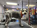 Dog Grooming By Donna