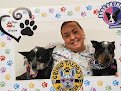 Dogs On The Run Pet Grooming Boutique & Barkery