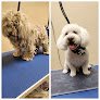 E. P. Pet Grooming