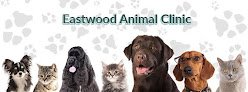 Eastwood Animal Clinic Inc