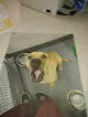 Edgar Park Veterinary Clinic