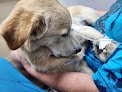 El Paso Animal Emergency