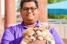 Negocio El Paso Animal Services Center