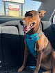 El Paso Animal Urgent Care West