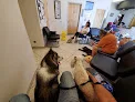 Far East Animal Care Center