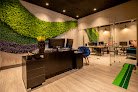 Flor Insurance Group Llc