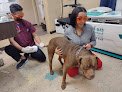 Foothills Animal Clinic
