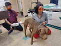 Foothills Animal Clinic