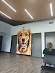 Negocio Golden Valley Animal Care