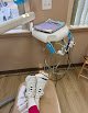 Guadalupe M. Ward, Dds, Pa