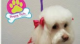 Happy Pets Grooming