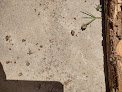 J&m Pest Control Co.