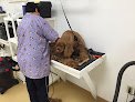 Julian's Pet Grooming, Daycare & Boarding