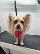 Julian's Pet Grooming