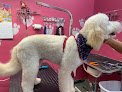 Kndy's Kuts Pet Grooming