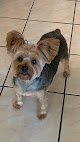 Locks Of Joy Pet Grooming