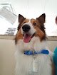 Montana Animal Clinic