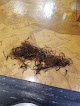 Mozaik Hair & Nail Salon