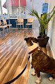 North Hills Veterinary Hospital
