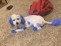Pampered Pet Grooming Salon