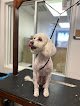 Negocio Paw Puppy Grooming