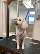Paw Puppy Grooming