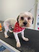Pet Heroes Dog Grooming