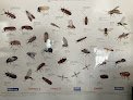 Predator Pest Control