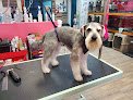 Negocio Puppy Love Grooming Ne