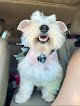 Scrappys Pet Salon