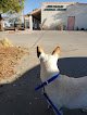 Sun Valley Animal Clinic