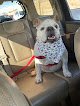 West Texas Veterinary Services